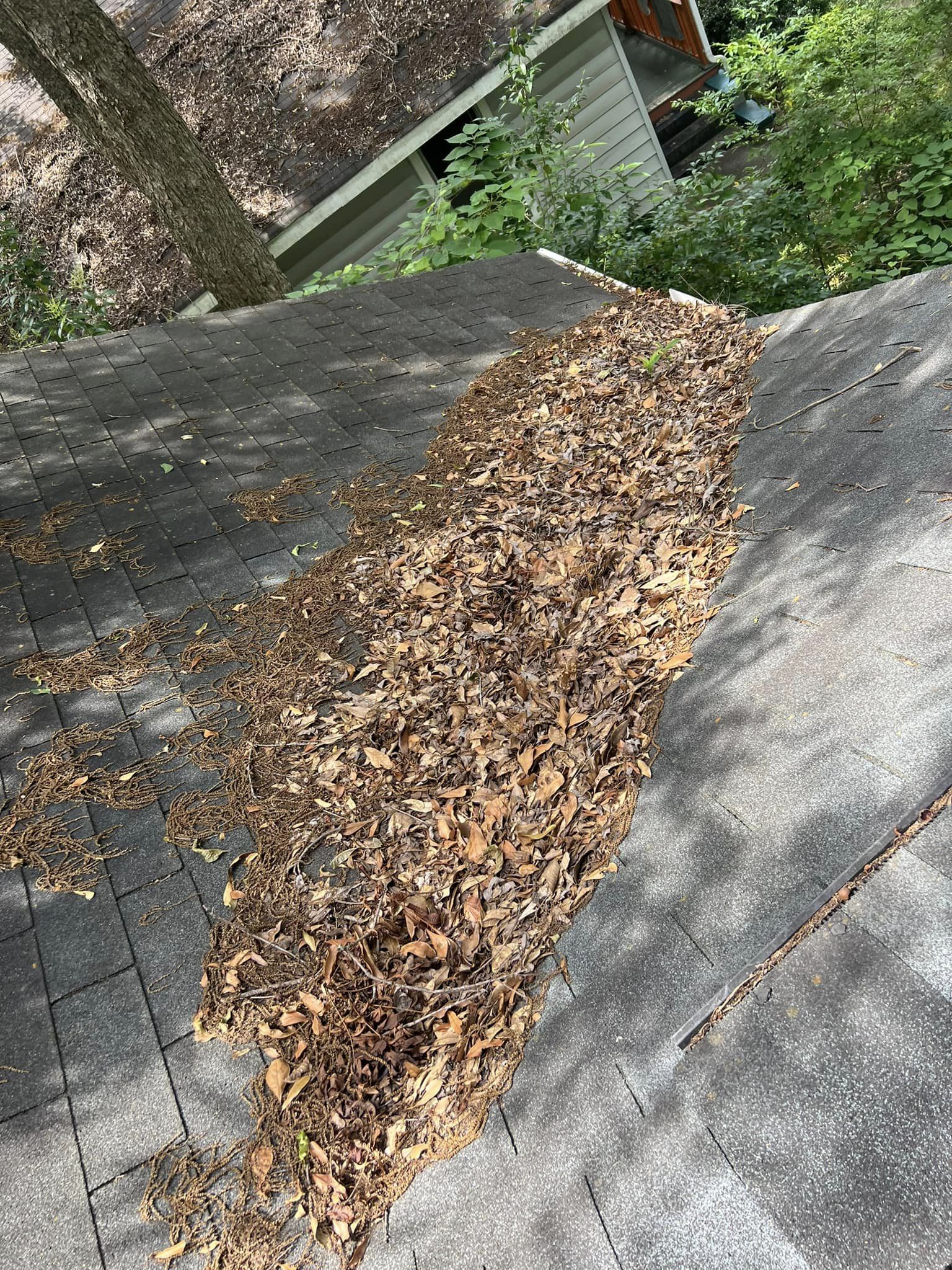 Roof Debris Removal and Gutter Cleaning in Asheville, NC